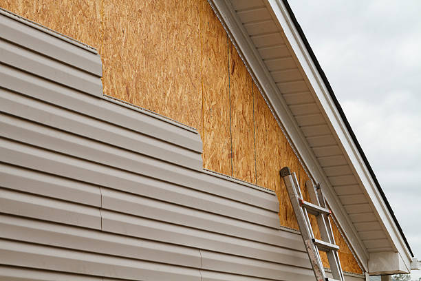 Professional Siding Inspection technician working in Puyallup, WA